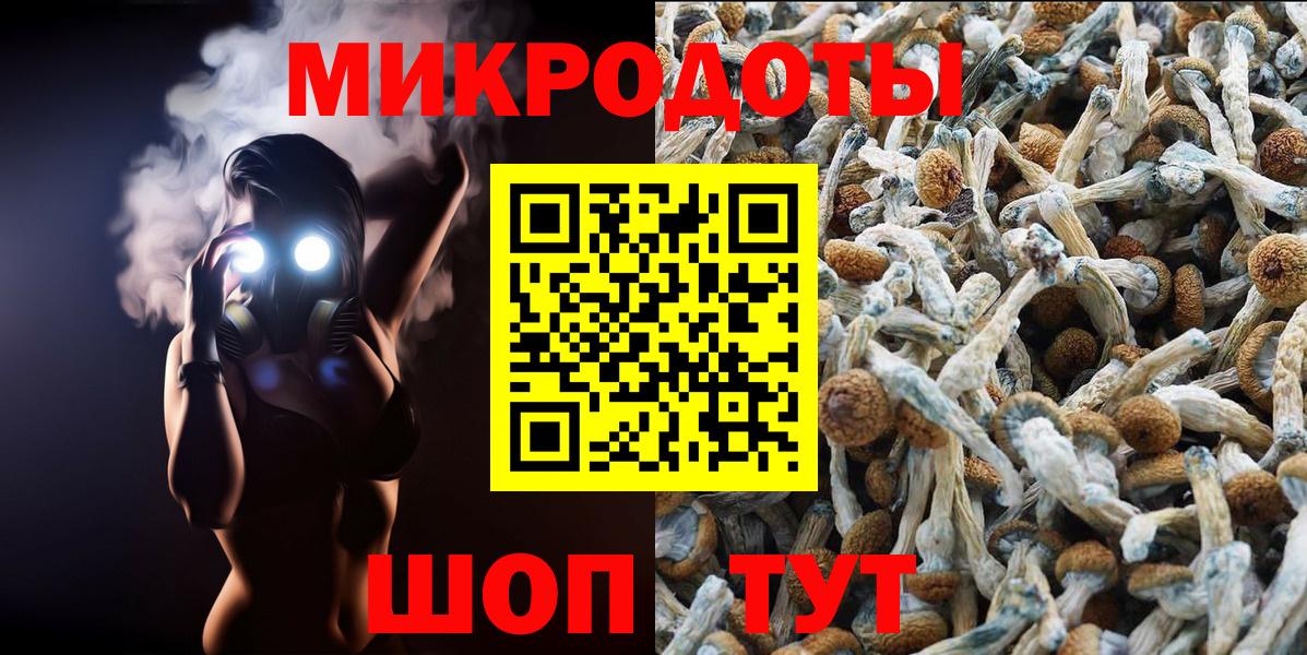 Похвистнево  Псилоцибиновые грибы Cubensis  Вход с VPN  Галлюциногенные грибы ЛСД 